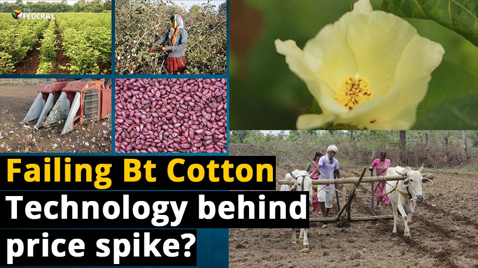 Is there life after Bt cotton?