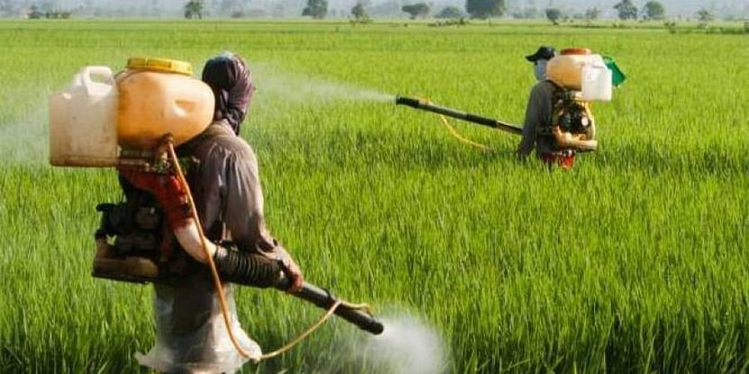 India must trim fertiliser use for fiscal, environmental sustainability: Expert