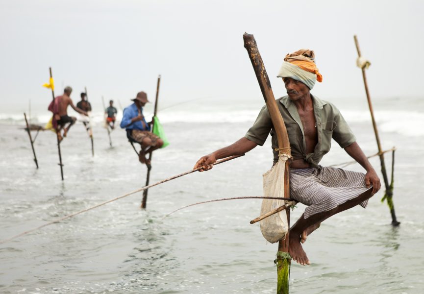 Nearly 10% of Sri Lankans faced food shortages even before COVID: Data