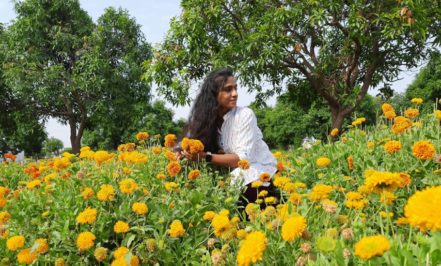 What happened when a techie-turned-farmer ditched cotton crop for flowers