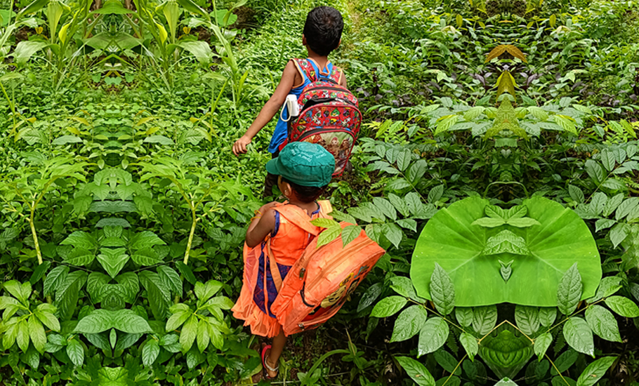 Keralas adivasi kids undertake a long and dangerous walk for education