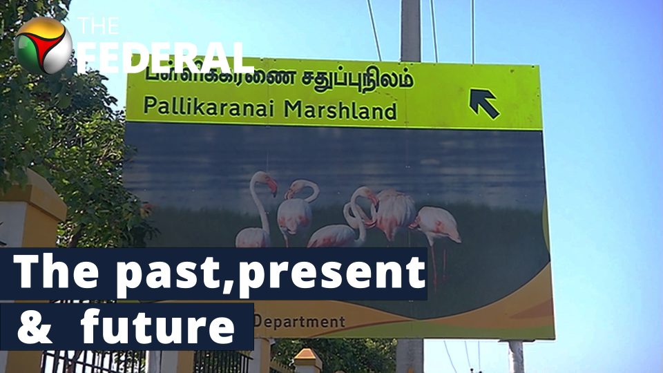 Pallikaranai marshland a Ramsar site:  What does it mean for Chennai?