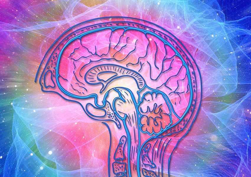 La bussola interna del cervello può indicare perché i malati di Alzheimer si sentono persi
