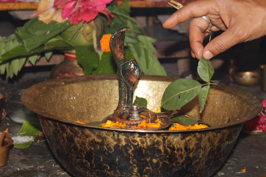 Holy month of Shravan begins on July 14; why is it auspicious?