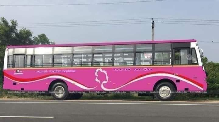 tamil nadu pink bus
