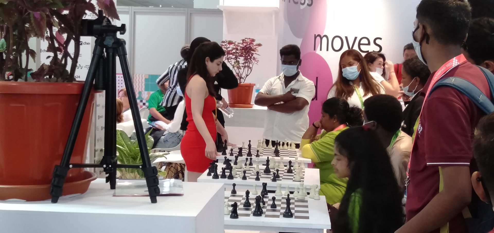 Chess Olympiad 2024 Tickets Bangalore Evita Talyah