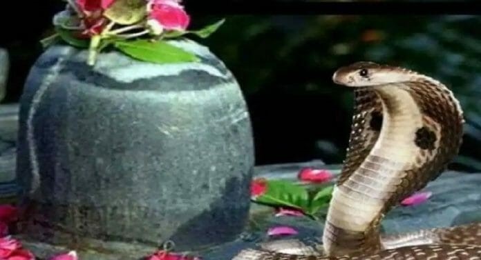 Nag Panchami 2022: Why people worship snakes during this festival?