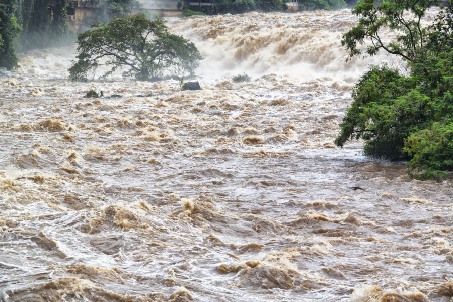 Flood alert in Mahanadi basin; Odisha CM instructs officials to ensure ‘zero casualty’