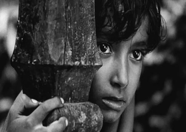 Satyajit Ray’s Pather Panchali tops FIPRESCI list of 10 best Indian films