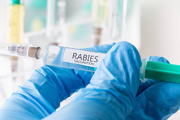 rabies deaths Kerala