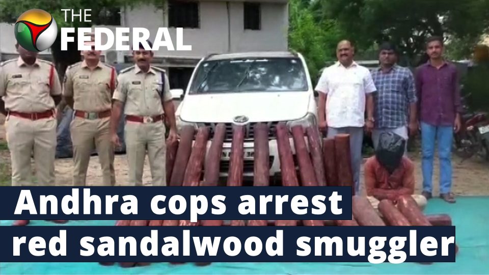 Red sandalwood worth Rs 50 Lakh seized in Chittoor; smuggler arrested