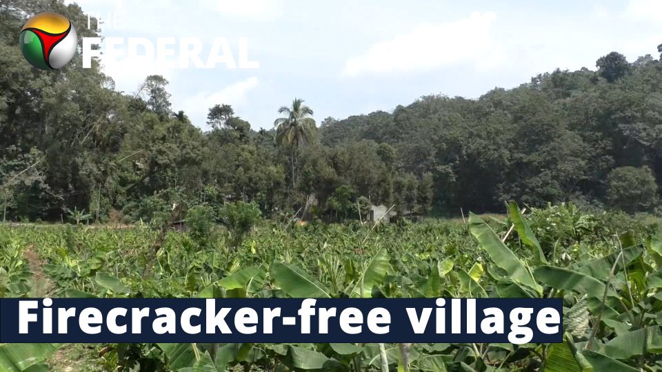 firecracker free village