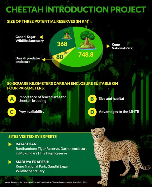Cheetah Introduction Project