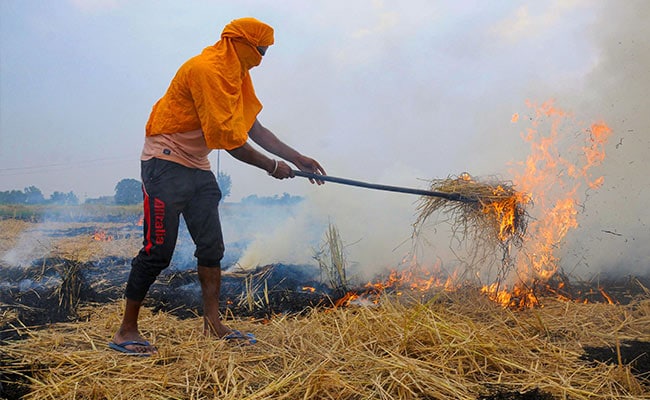 Farm fires will die out in 2-3 years: Punjab Agricultural University V-C