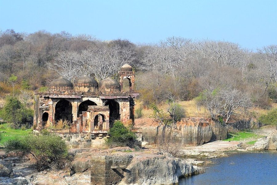 Ranthambore December destination