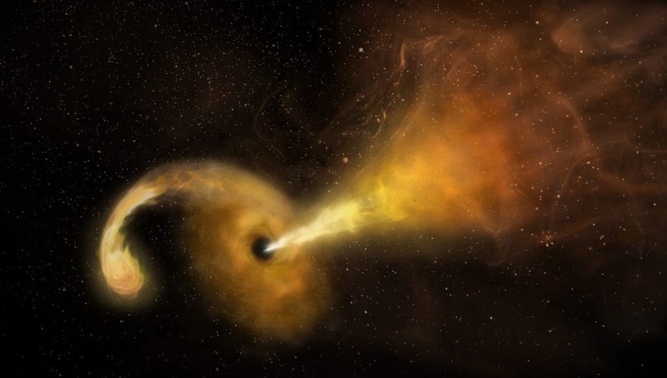 Black hole rips apart a star