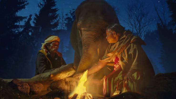 Elephant Whisperers: This documentary, up for Oscars, is a triumph of empathy