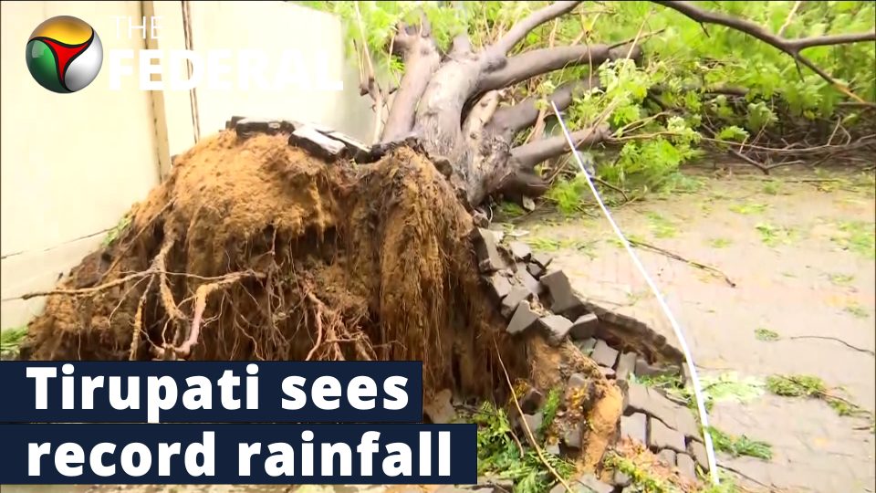 Cyclone Mandous triggers heavy rain in TN, Andhra