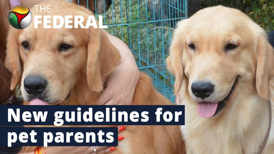 new rules for pets