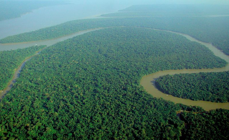 Human activity degraded more than a third of remaining Amazon forest: Study