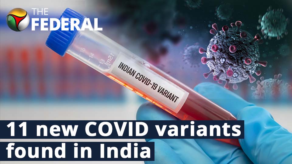 11 new COVID variants found in 124 International arrivals in 11 days