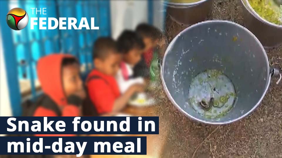 Snake found in mid-day meal in West Bengal, 20 children affected