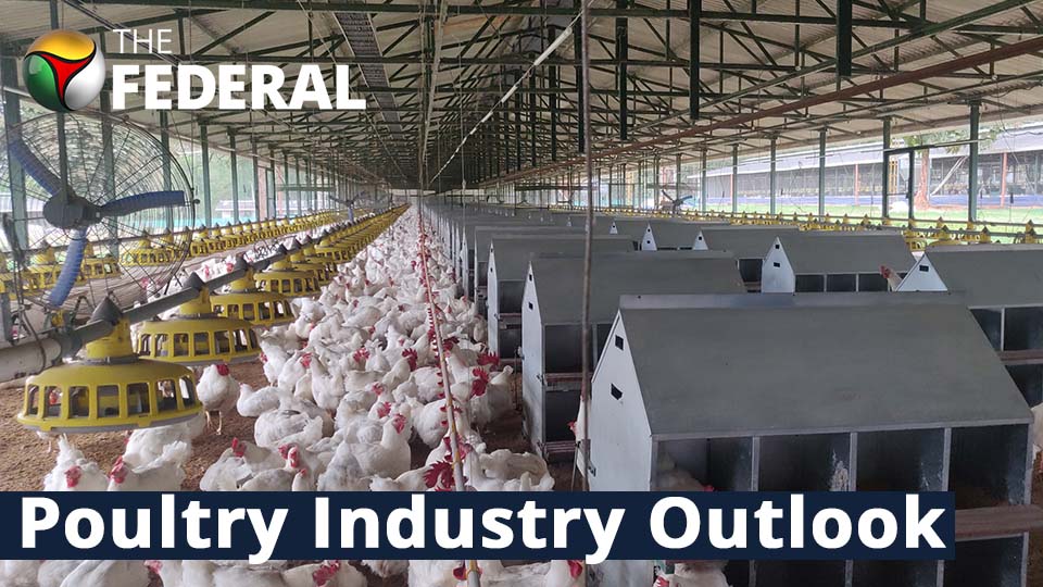 Should eggs be washed before being sold?