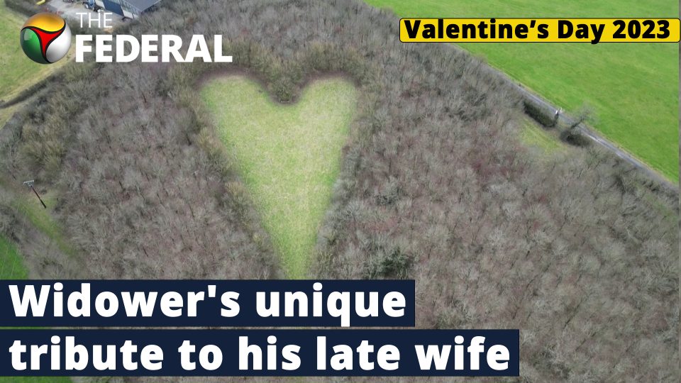 British farmer plants thousands of oak trees to create a heart-shaped woodland in memory of his wife