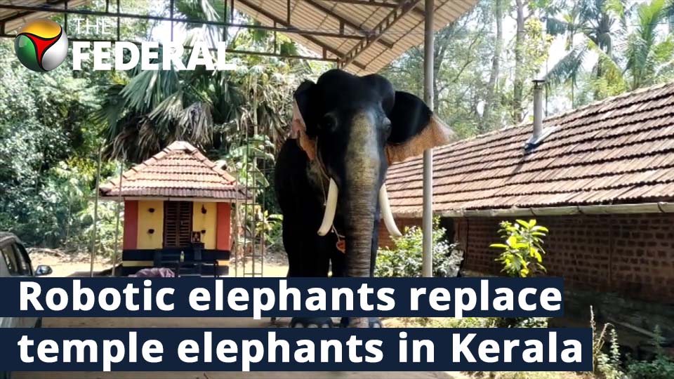 Kerala temple introduces robotic elephant to perform ritual duties
