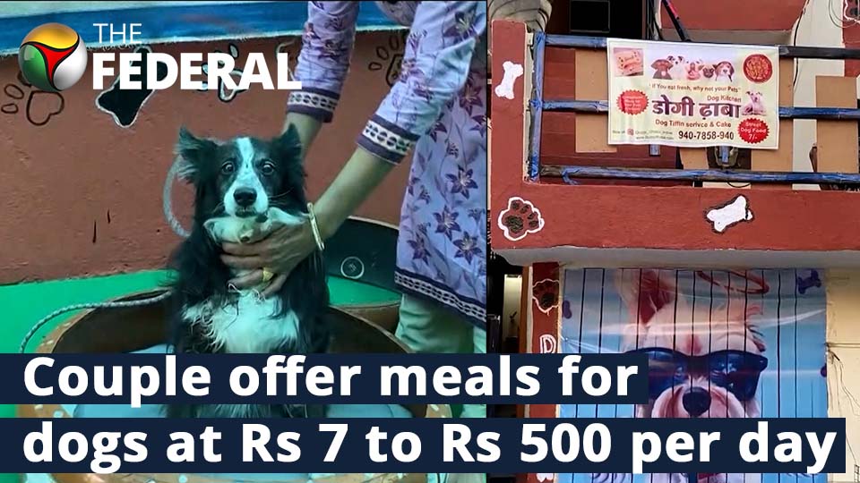 Enter Doggy Dhaba that caters to dogs