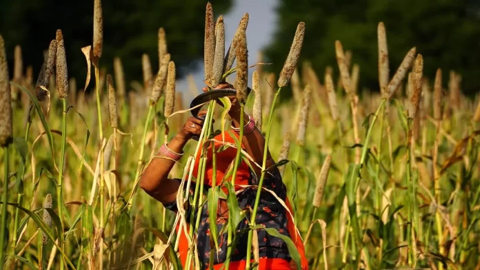 Millet production in India