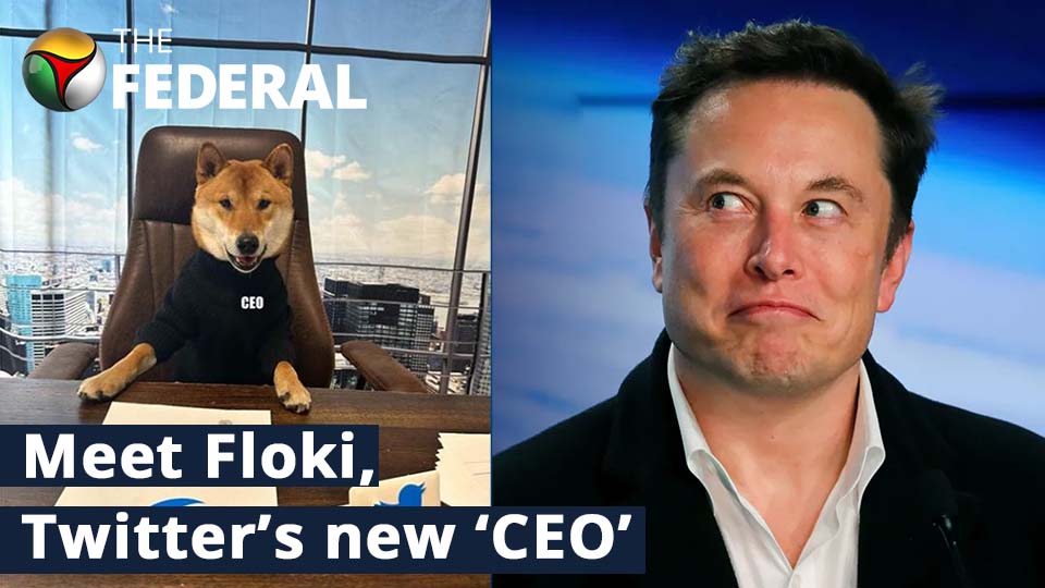 Elon Musk introduces new ‘Twitter CEO’; internet can’t stop ROFLing