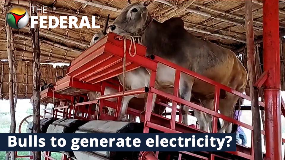 Former IPS officer builds a machine that uses bulls to generate electricity in Lucknow