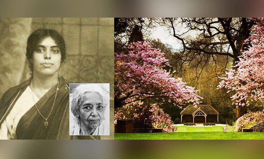 How Western Ghats shaped the life of scientist EK Janaki Ammal