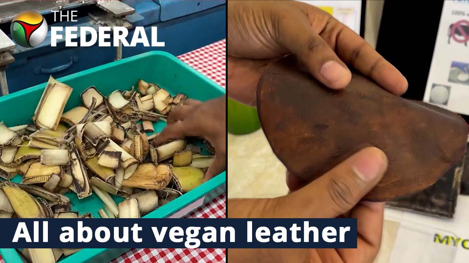 Now, get eco-friendly vegan leather from agri waste