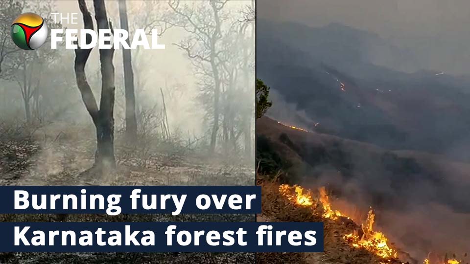 What explains the raging inferno in Karnataka forests? Has govt done enough to bring it down?