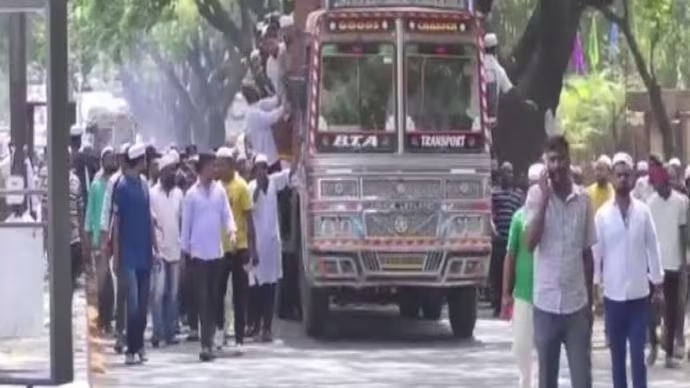 Cow vigilantes