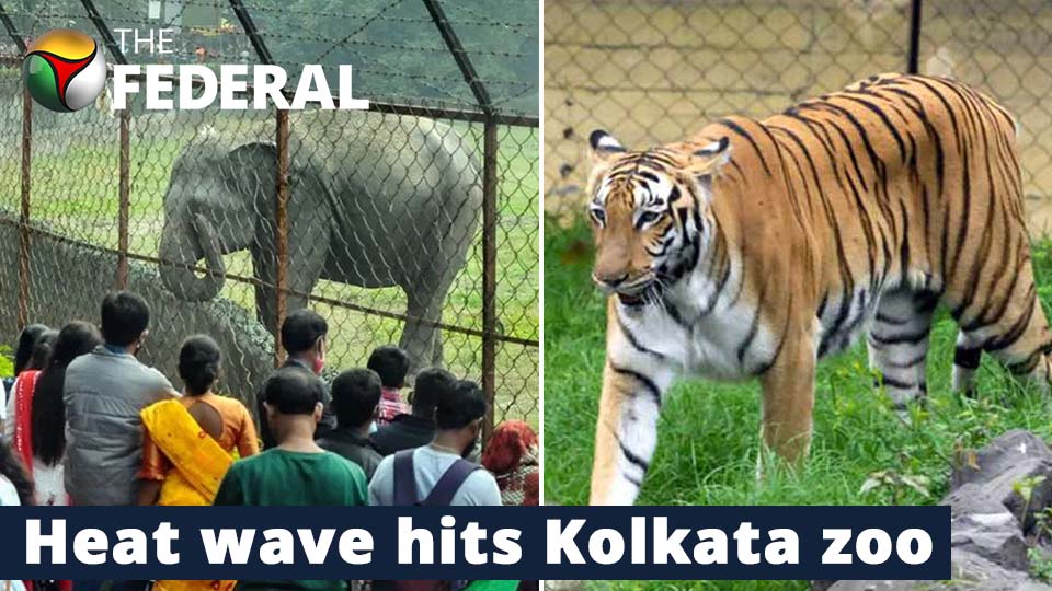 How Alipore zoo is protecting animals from heat wave | Kolkata