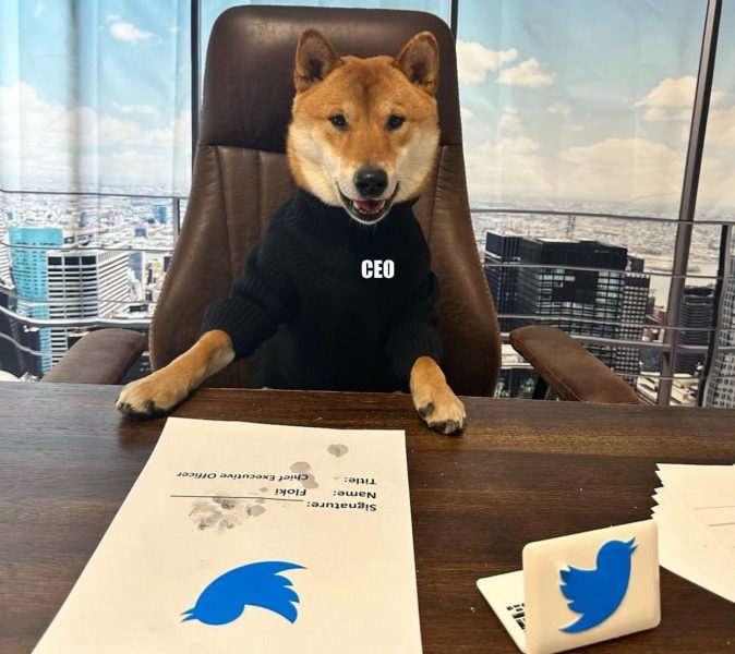 Doge, dogecoin, shiba inu, Elon Musk, Twitter
