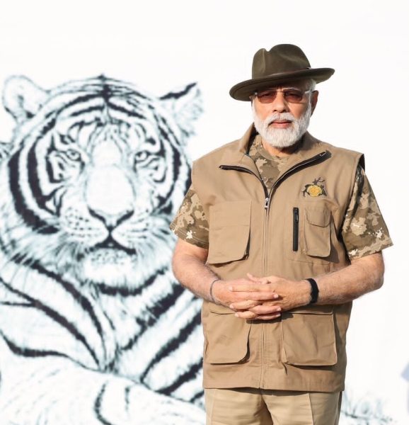 modi tiger