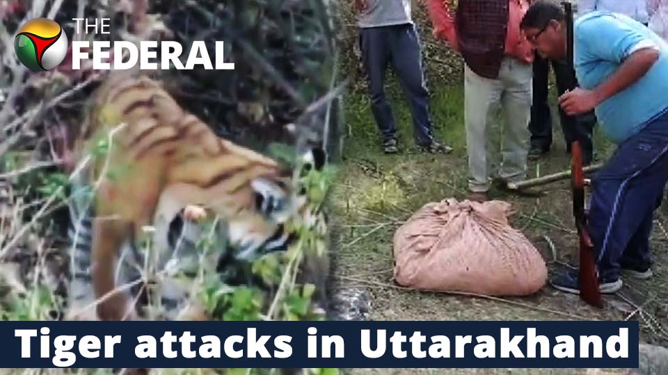 Tiger kills two men in Uttarakhand; night curfew in 25 villages