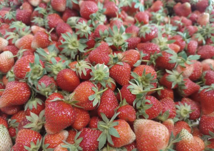 Kashmir strawberries, Srinagar G20 summit