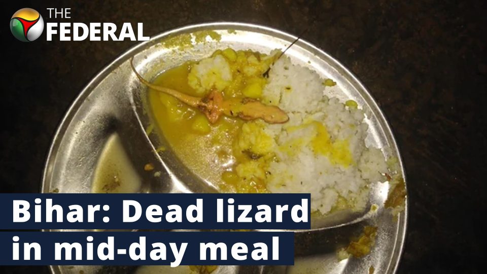 Bihar: 35 children fall ill as dead lizard found in mid-day meal
