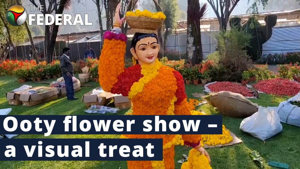 Ooty’s annual flower show kicks off with captivating blooms
