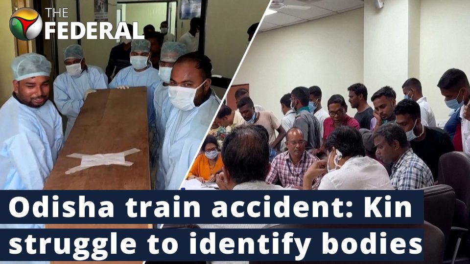 Odisha train crash: Families look for the right body amid confusion
