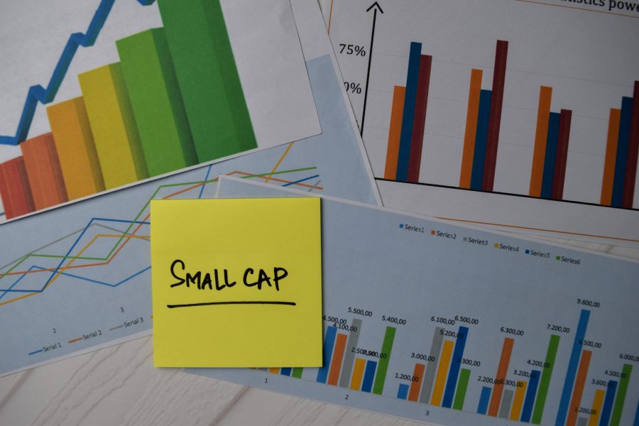 small cap mutual funds