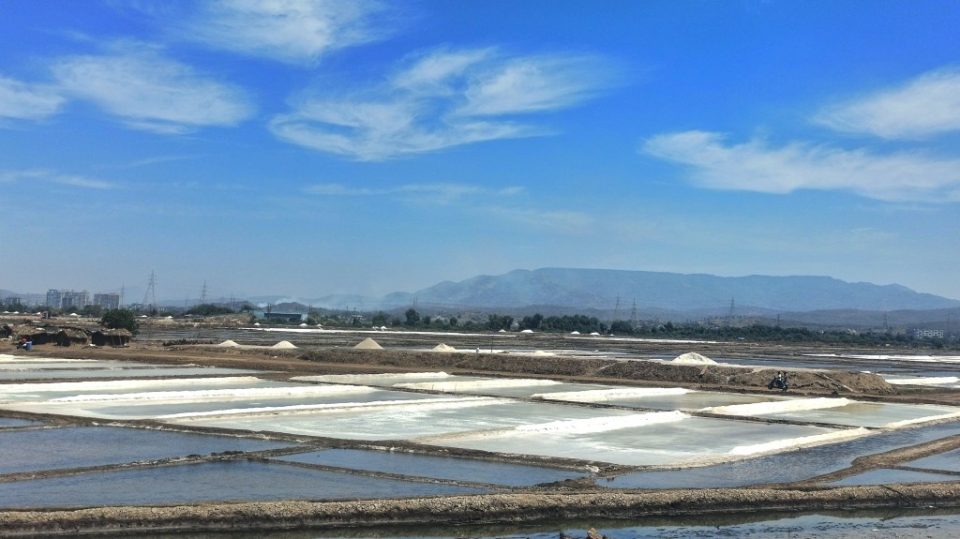What are salt lands and why are state governments keen to buy them?