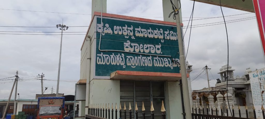 Kolar tomato market