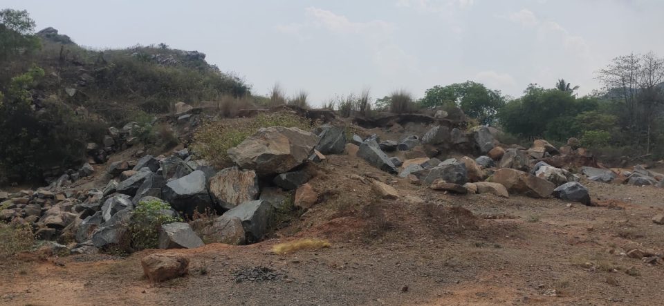 Odisha: NGT issues notice to Centre, state for stone quarry near Kuldhia wildlife sanctuary
