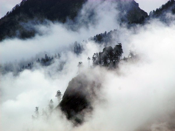 Cloudburst, Himachal Pradesh